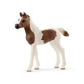 Schleich 13839 hříbě Pintabianské