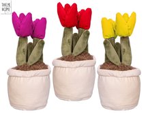 Take Me Home tulipny plyov 25cm