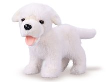 Labrador plyov 23cm stojc bl