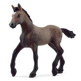 Schleich 13954 Hb plemene perunsk paso